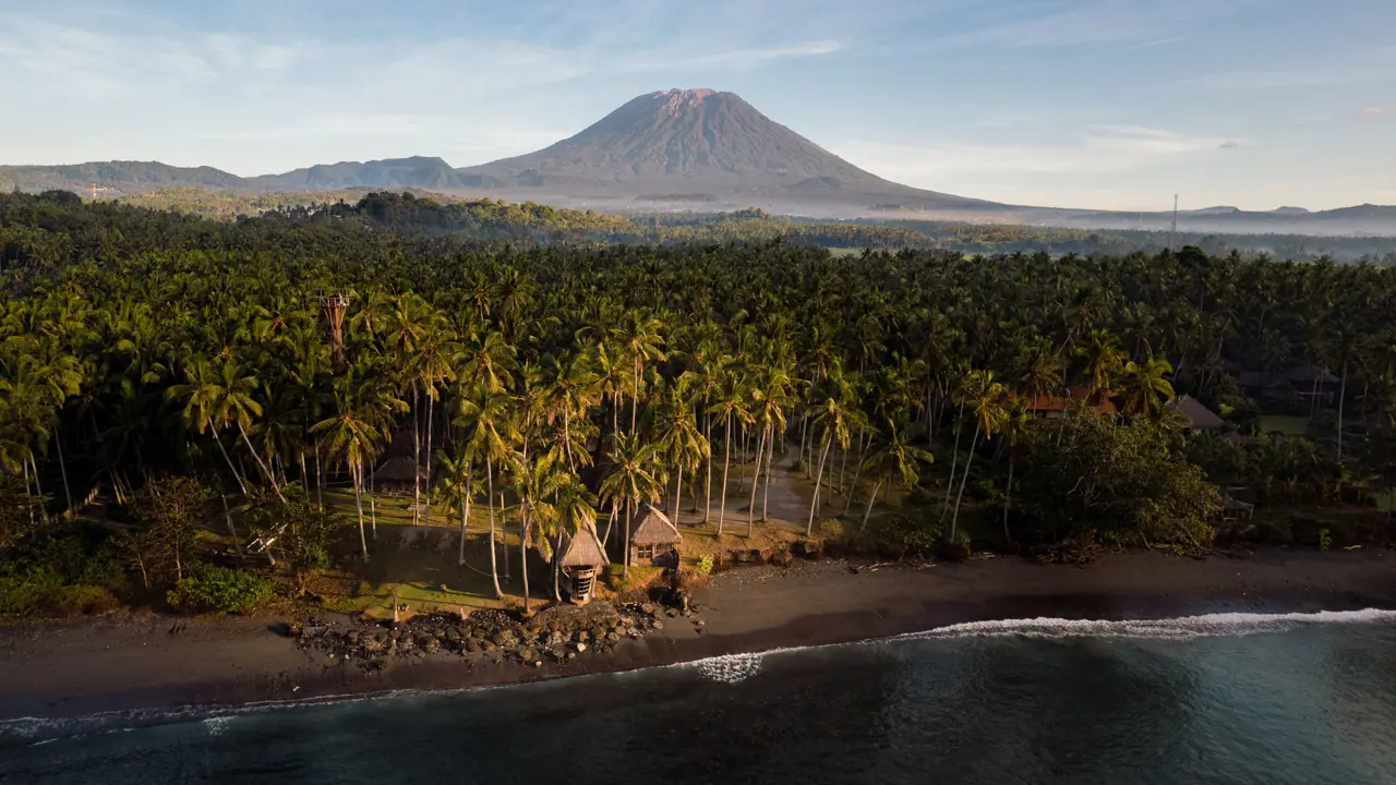Palm-lined coast of East Bali with Mount Agung rising behind